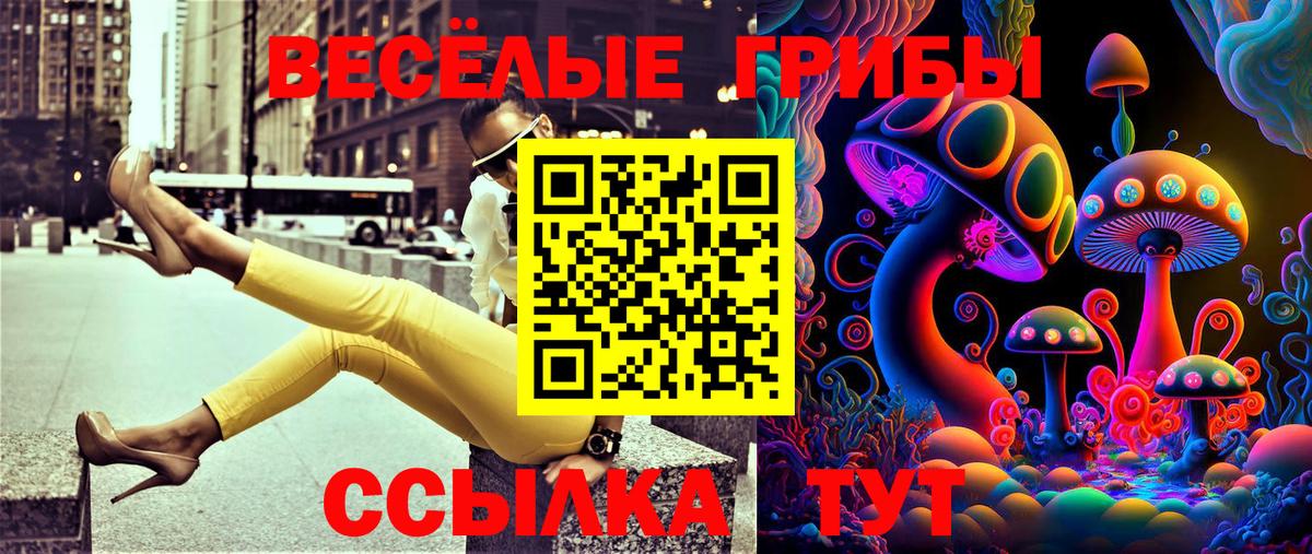 Псилоцибиновые грибы Psilocybe  Вход с VPN  Псилоцибиновые грибы Psilocybe  Балашов 